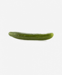 Concombre arménien - فقوس